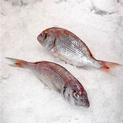 Pescados