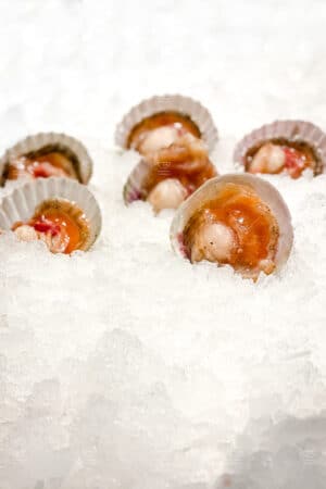 Vieyras con Cáscara y Coral